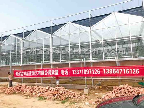 青州金祥溫室園藝有限公司公司簡介